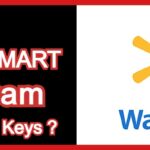 Read more about the article Can I Program My Transponder Key at WALMART ?
